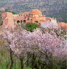 MONASTERY OF HOSSIOS LOUCAS